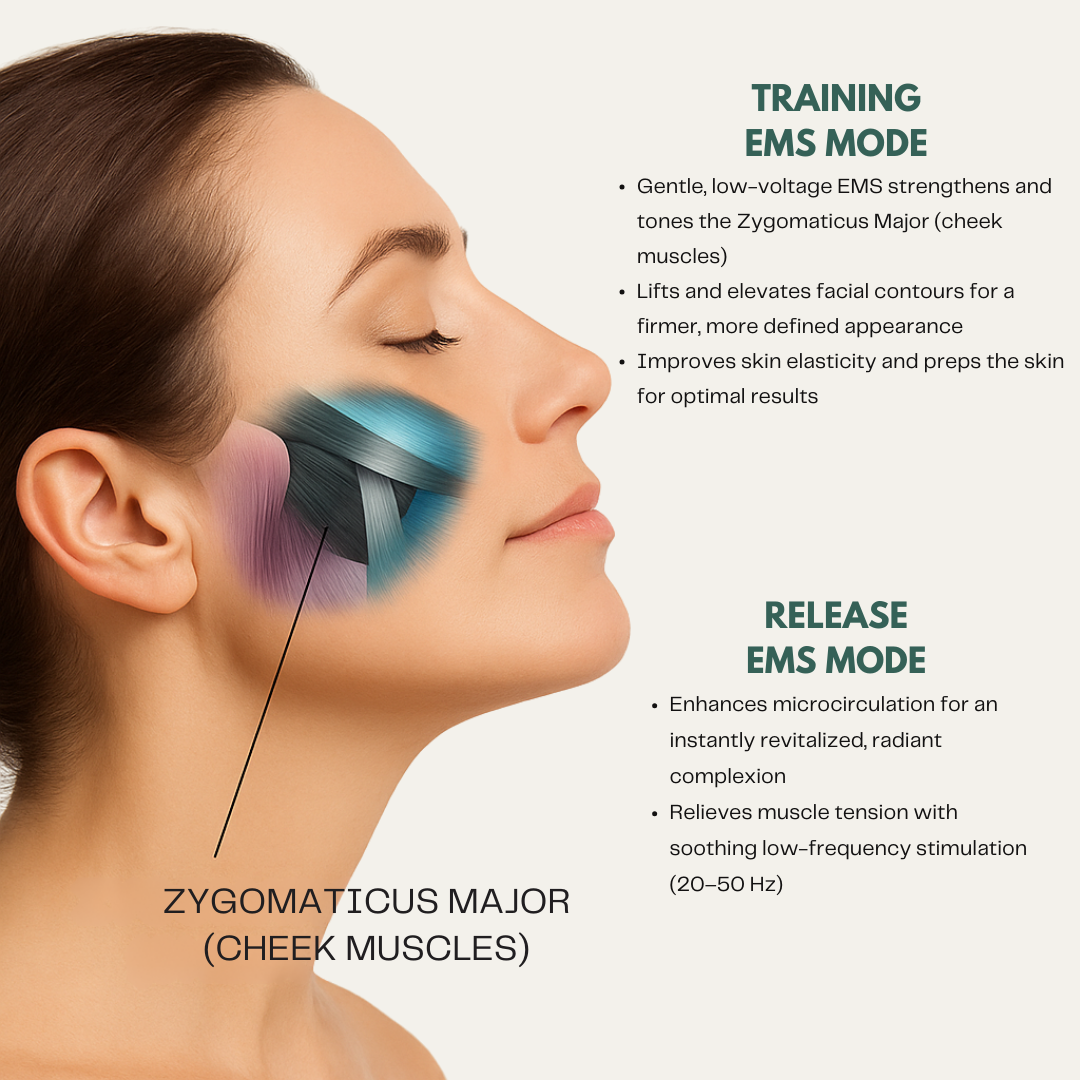 Femma Pro Sculpt™ EMS Face Lifting System